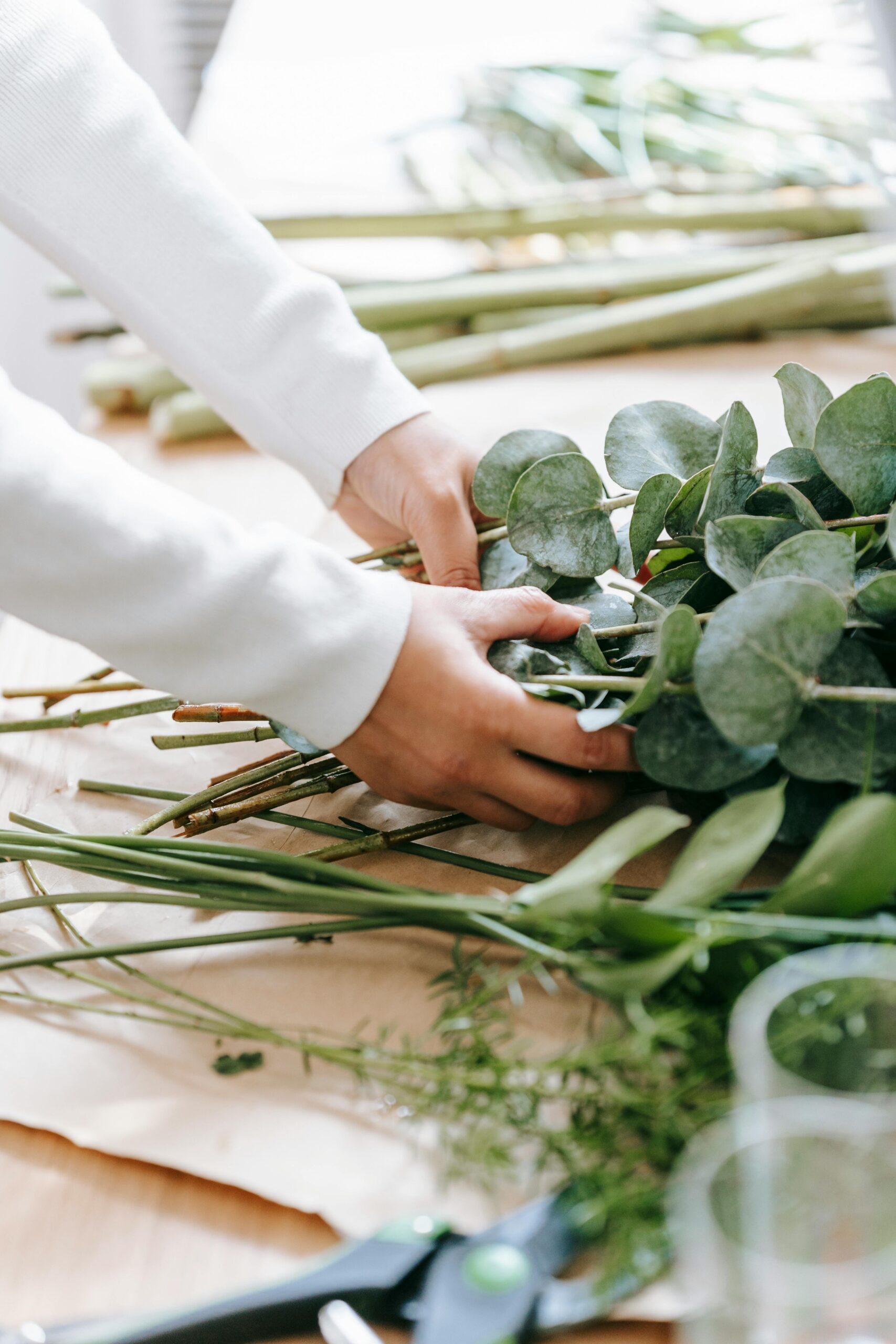 Harness the Power of Eucalyptus