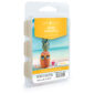 Escape to the tropics with the Aloha Pineapple wax melt - a delightful blend of sweet pineapple, creamy coconut, and sun-kissed sugar cane. The soy wax blend ensures a clean, even burn that fills your space with an irresistible tropical fragrance.