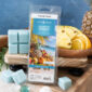 ESCAPE TO PARADISE FRAGRANCE: Sea salted driftwood, warm sands, windswept grasses, and a hint of sugared papaya. TOP NOTES: Peach, Tropical, MID NOTES: Citrus, Guava BASE NOTES: Woody