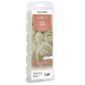 WHITE PEONY FRAGRANCE: Fragrant peony with hints of jasmine, fig, and vanilla. TOP NOTES: Floral, Sweet MID NOTES:Peony, Berry BASE NOTES: Musk, Vanilla