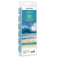OCEAN TIDE FRAGRANCE: Tranquil water, warm sand, and tropical flowers. TOP NOTES: Peach, Plum, Black Currant, Apple MID NOTES: Night Blooming Jasmine, Honeysuckle BASE NOTES: Vanilla, Musk