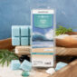 OCEAN TIDE FRAGRANCE: Tranquil water, warm sand, and tropical flowers. TOP NOTES: Peach, Plum, Black Currant, Apple MID NOTES: Night Blooming Jasmine, Honeysuckle BASE NOTES: Vanilla, Musk