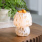 The Art Glass Lamp Vintage Illumination Warmer blends midcentury charm with timeless elegance. Its all-glass design features a white and clear pattern that glows softly orange when lit. With a vintage bulb and glass wax tray, it offers a flame-free way to enjoy fragrance while adding a stylish touch to any room.