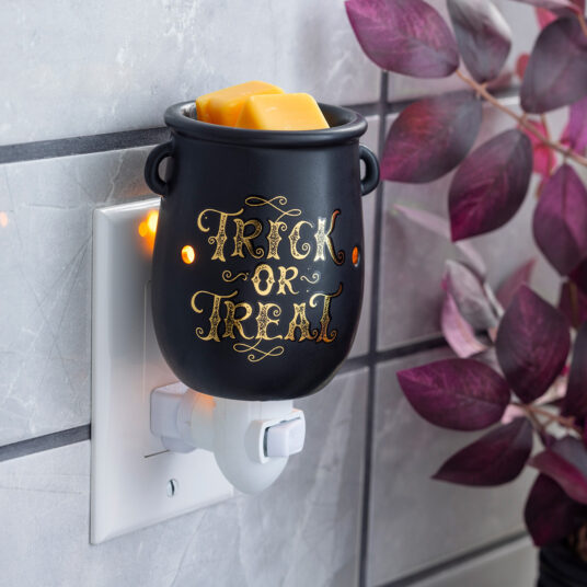 The Cauldron Pluggable Fragrance Warmer is the perfect way to add a spooky yet charming touch to your Halloween decor. With its sleek black cauldron design and