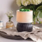 The Luxe Lamp Illumination Warmer features a chic contrast of matte black and textured white ceramic. This warmer makes a bold, stylish statement while effortlessly filling your space with fragrance.