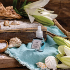 Drift into coastal tranquility with Ocean Tide WallScents™ 24mL Fragrance Oil. Aquatic notes blend with sea salt and lily for a fresh, breezy fragrance that evokes the serenity of the shore.