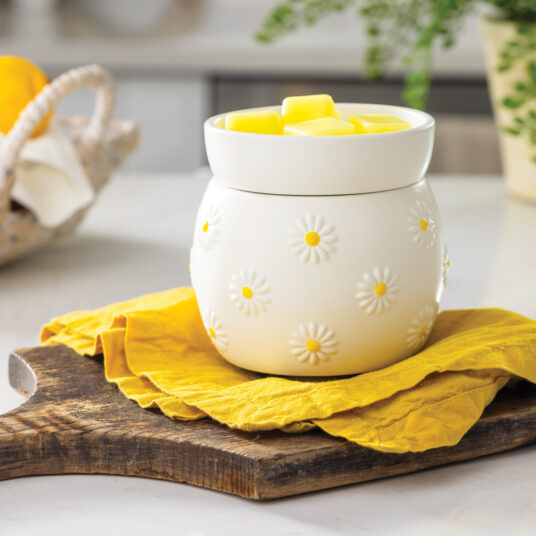 Bring playful, fresh charm to any corner of your home with the Daisy Wax Warmer. Its matte white finish and embossed daisies with sunny yellow centers radiate cheer.
