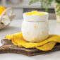 Bring playful, fresh charm to any corner of your home with the Daisy Wax Warmer. Its matte white finish and embossed daisies with sunny yellow centers radiate cheer.