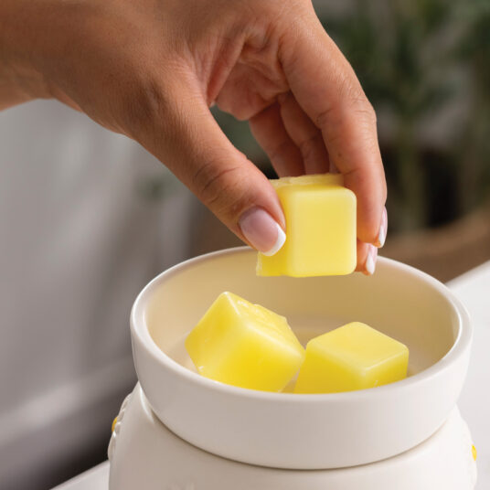 Bring playful, fresh charm to any corner of your home with the Daisy Wax Warmer. Its matte white finish and embossed daisies with sunny yellow centers radiate cheer.