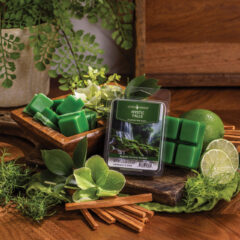 Mystic Falls 2.5oz Wax Melts evokes an enchanted forest after a gentle rain. Bergamot and cool herbs weave through woods, lush greens, and moss for a serene, magical escape.