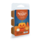 Hocus Pocus Pumpkin Limited Edition 2.5 oz Halloween Wax Melt