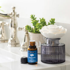 Rosette Porcelain Passive Diffuser
