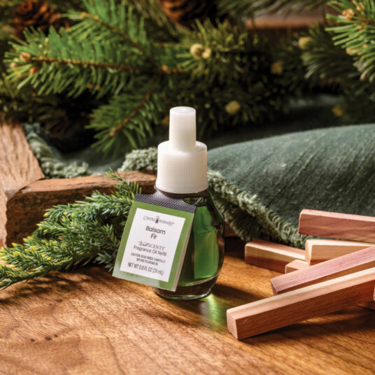 Balsam Fir WallScents™ Fragrance Oil Refill
